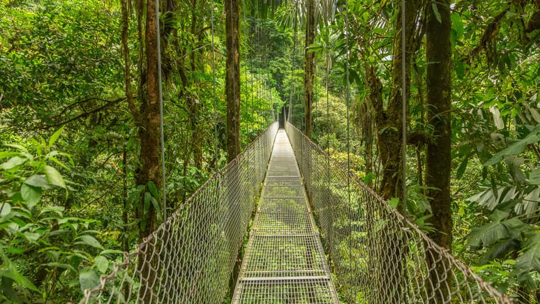 Ruta en los puentes colgantes del Parque Mistico Arenal