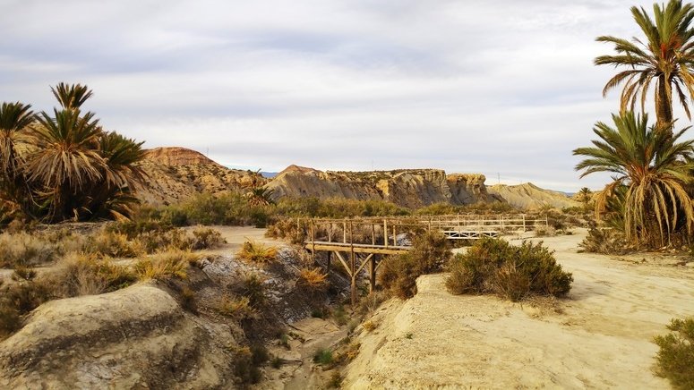 Excursión Desierto Tabernas