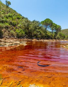 Excursión Río Tinto, Aracena y Gruta Maravillas