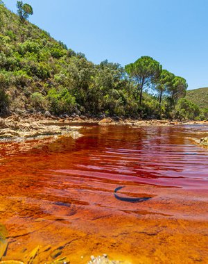 Excursión Río Tinto, Aracena y Gruta Maravillas