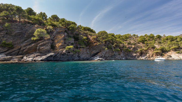 crucero parque natural cap creus