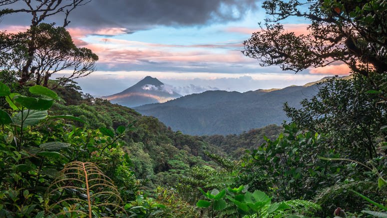 Tour nocturno selva tropical Monteverde