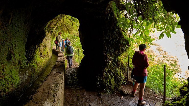 Trekking Parque Florestal Queimadas