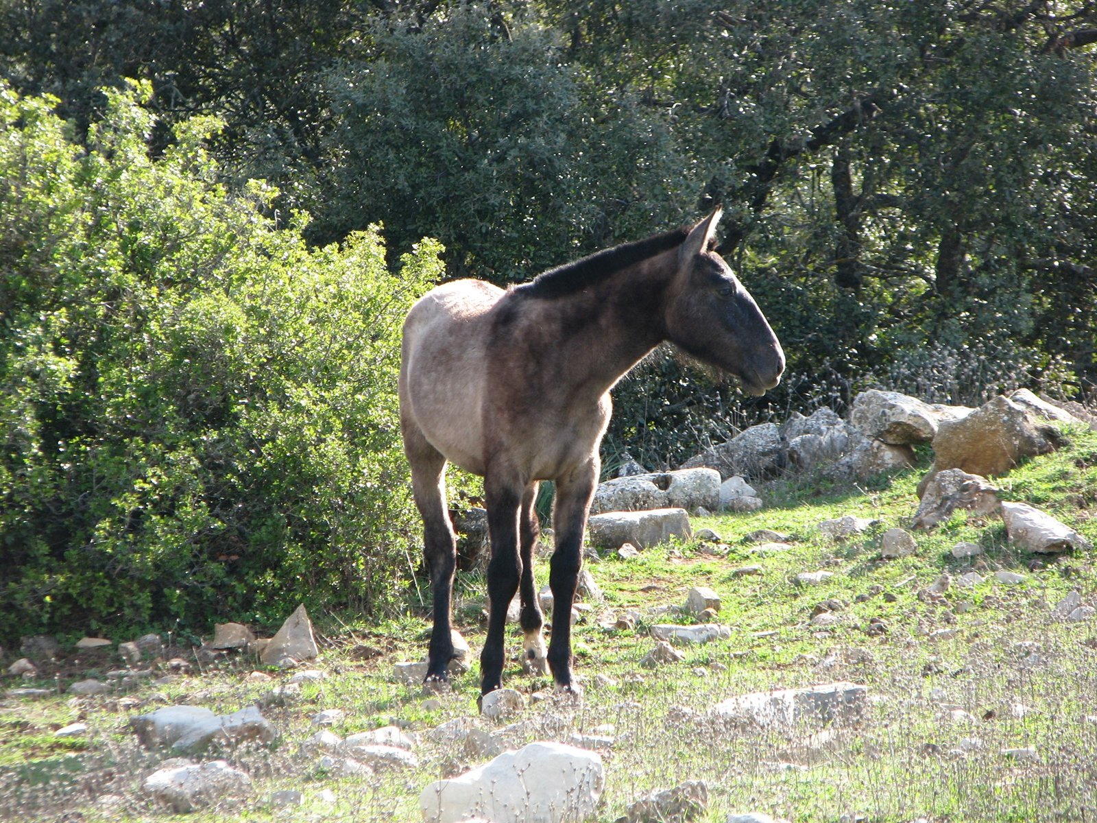 Excursión privada Algarinejo merienda