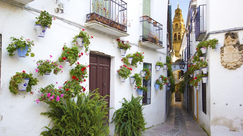 Tour Córdoba Monumental