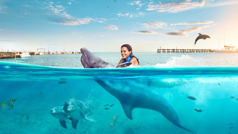 Nada delfines Punta Cana