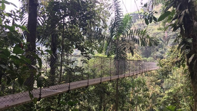 Ruta puentes colgantes Volcán Arenal