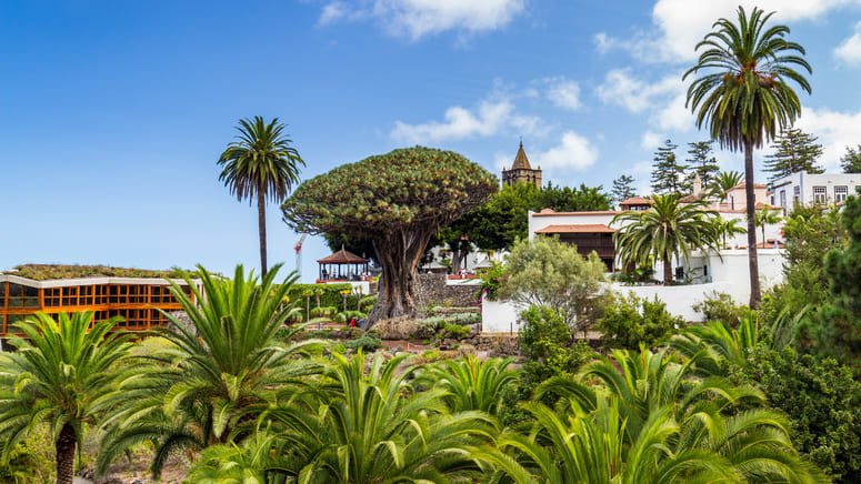 Tour Teide Icod Garachico Masca