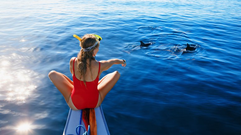 excursion teide avistamiento ballenas delfines