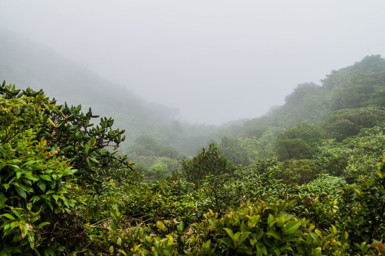 Aventura en bicicleta por Monteverde
