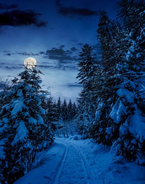 Trekking nocturno en la nieve de la Sierra de Guadarrama
