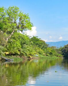Snorkel arrecifes y kayak