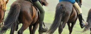 Paseo caballo tirolina
