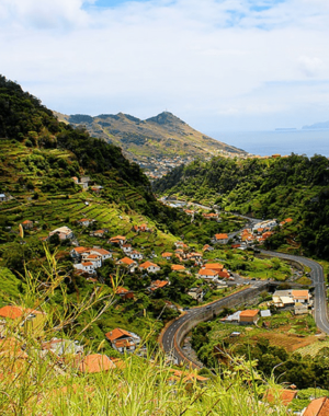 Excursión al Valle de las Mimosas