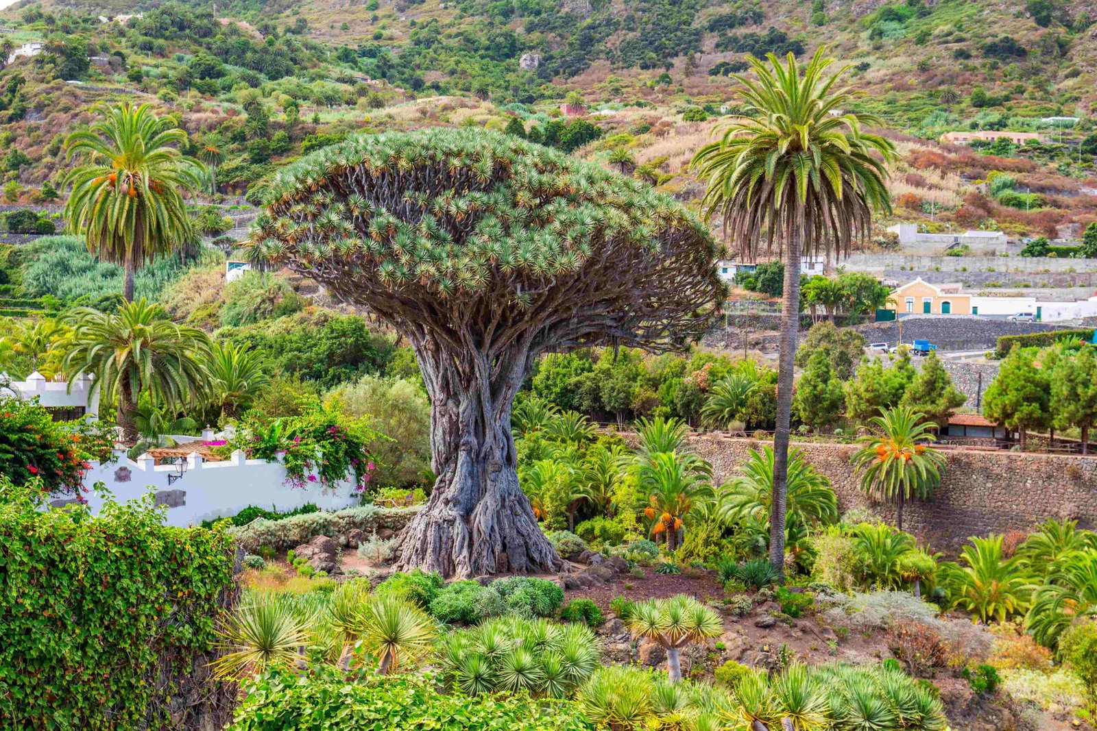 Tenerife