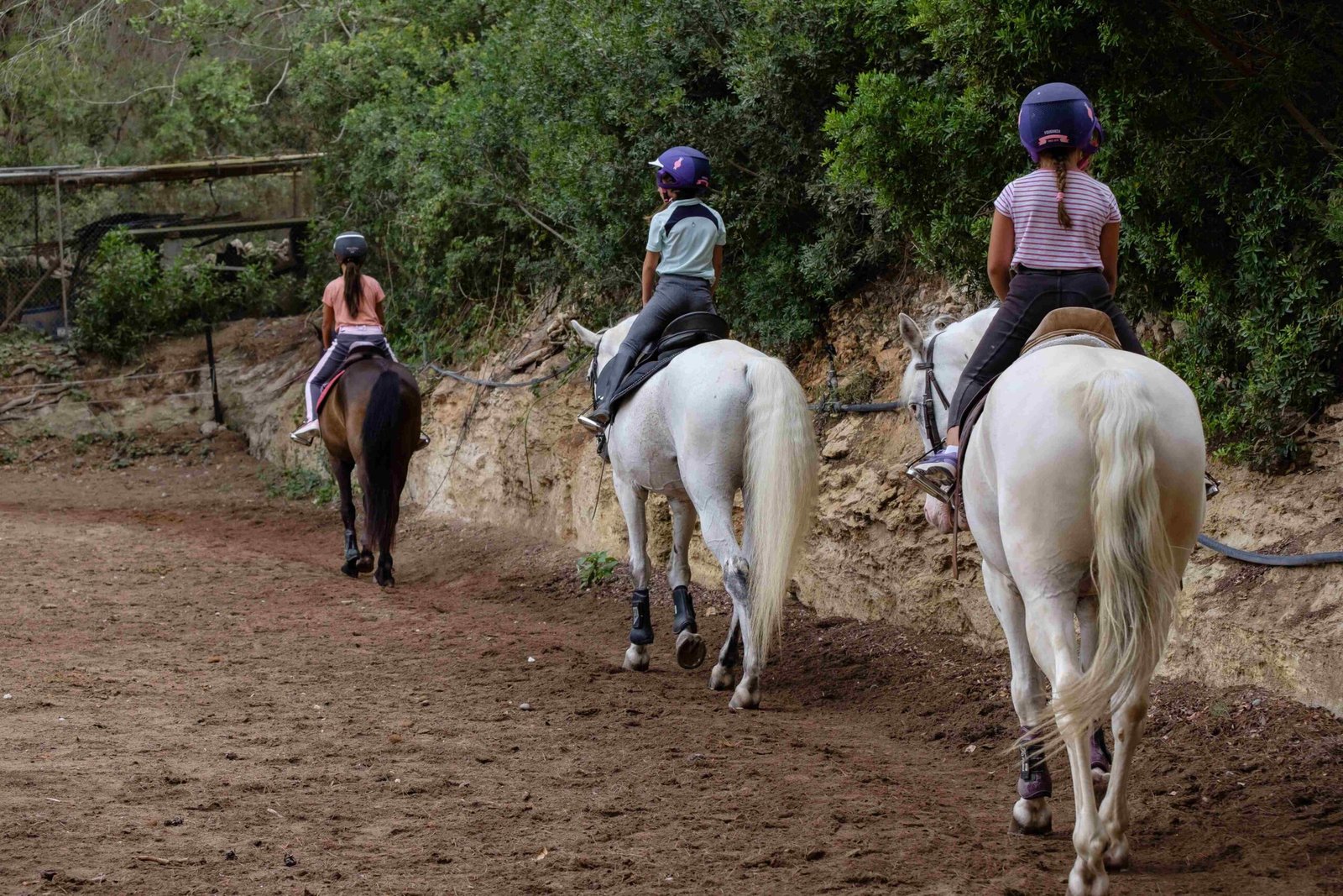 actividades