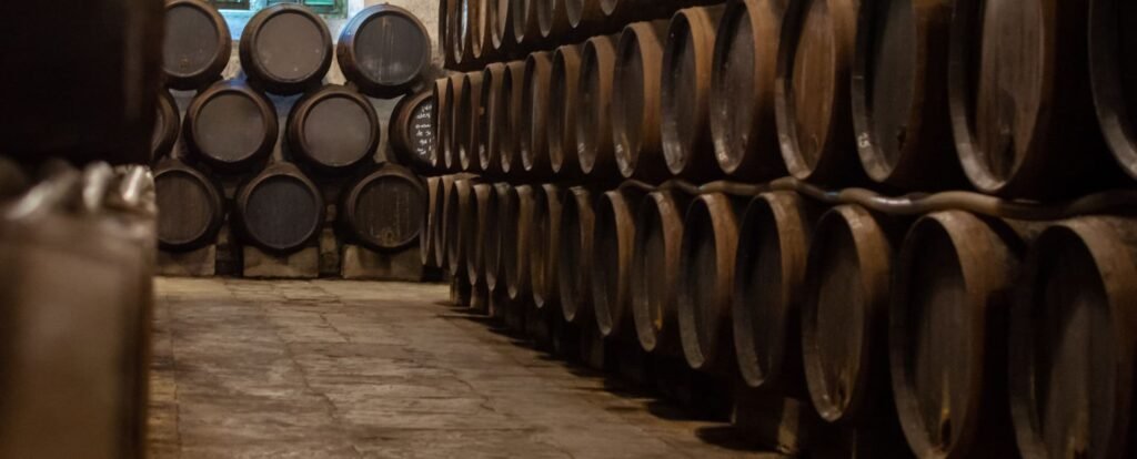 Visita bodega familiar cata E Puerto Santa María