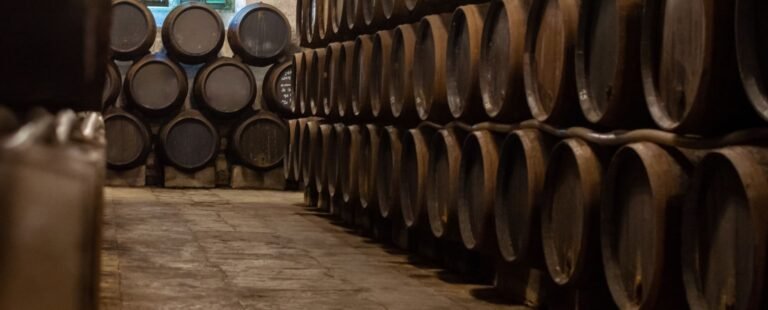 Visita bodega familiar cata E Puerto Santa María