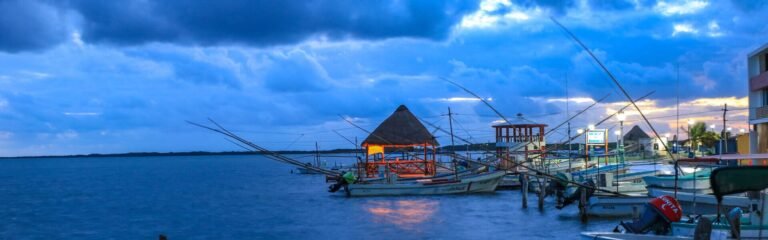 Tour diurno nocturno de manglares cocodrilos en México