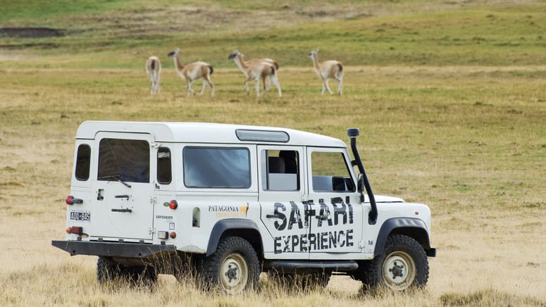 Safari 4x4 Patagonia argentina