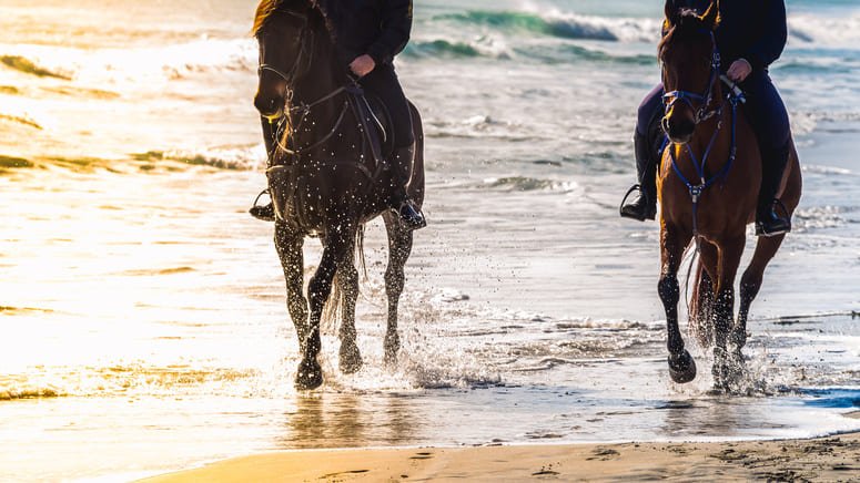 Excursión a caballo por la playa