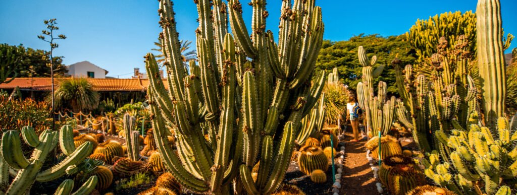 Tour guiado en bicicleta al atardecer por Gran Canaria