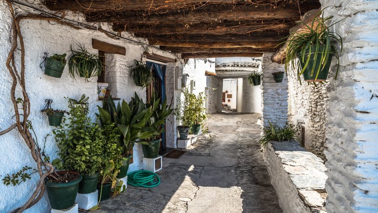 Tour Alpujarra granadina