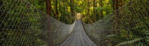 Tour nocturno selva tropical Monteverde