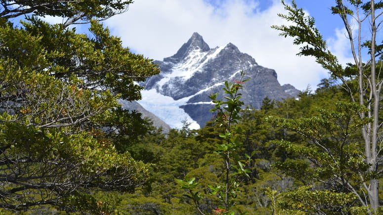 Navega Parque Nacional Los Glaciares