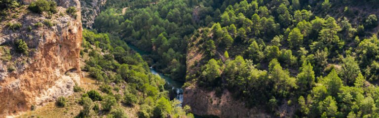 visita guiada cuenca