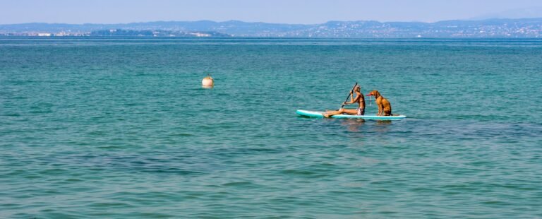 Paddle surf Costa Brava