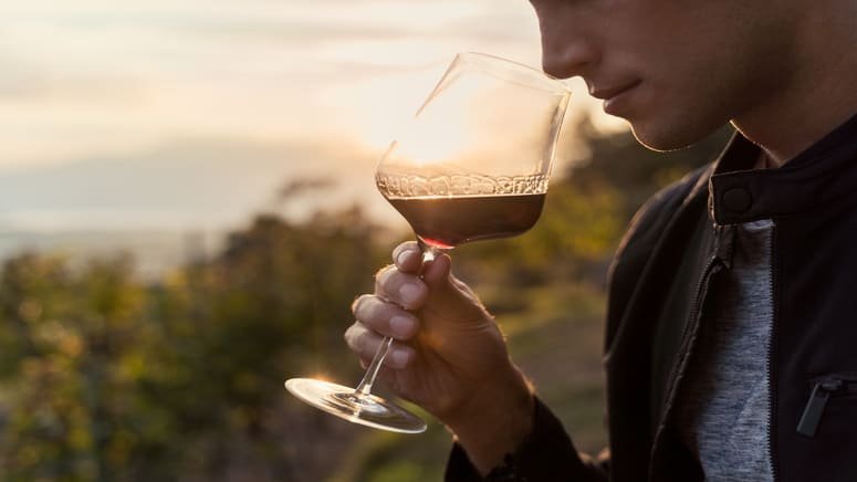 Ruta vino Tenerife en vespa