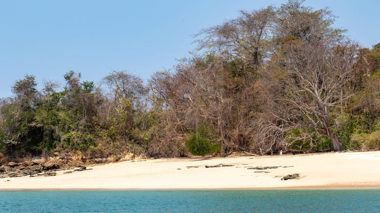 Disfruta de una excursión a Isla Chapera