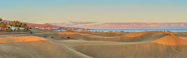 Tour bici paseo camello Dunas Maspalomas