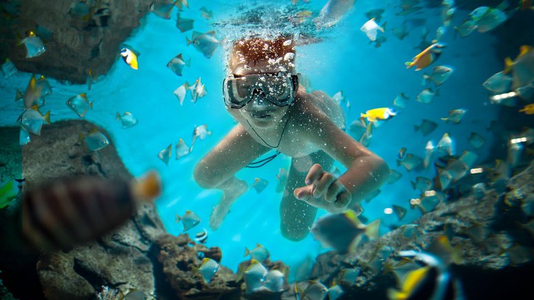Snorkel Ferragudo