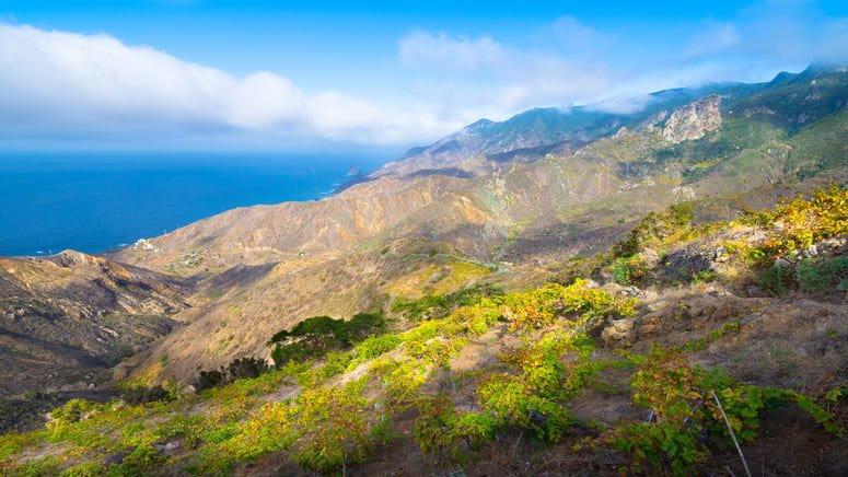 Ruta vino Tenerife en vespa