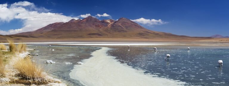 Excursión de 3 días al Salar de Uyuni y las lagunas