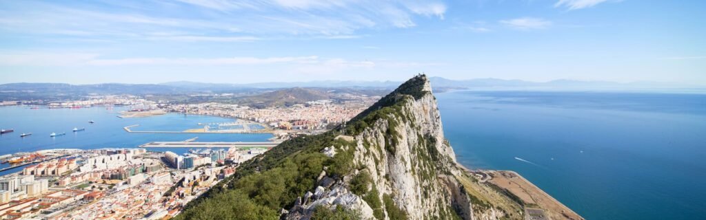Avistamiento Ballenas y Delfines en Estrecho de Gibraltar