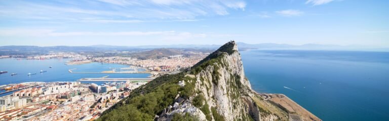 Avistamiento Ballenas y Delfines en Estrecho de Gibraltar