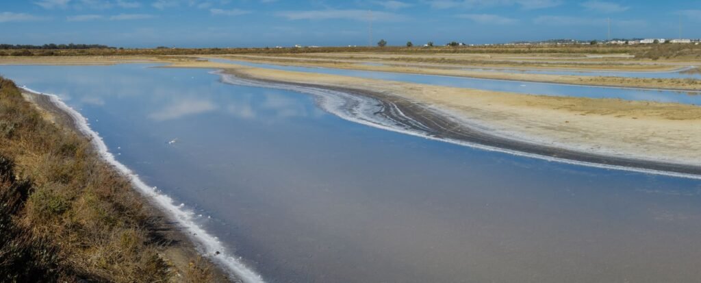 Excursión salina El Puerto Santa María