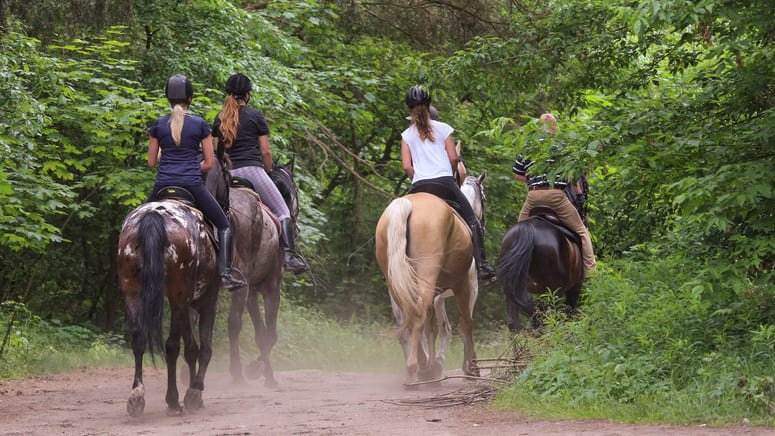 Ruta caballo Doñana