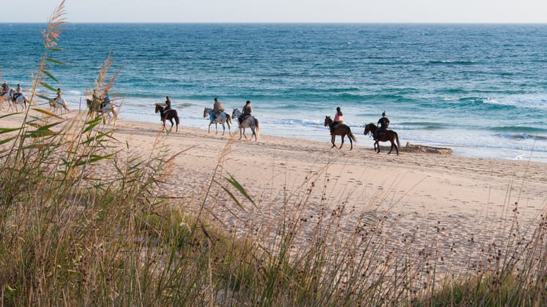 Excursión a caballo por la playa