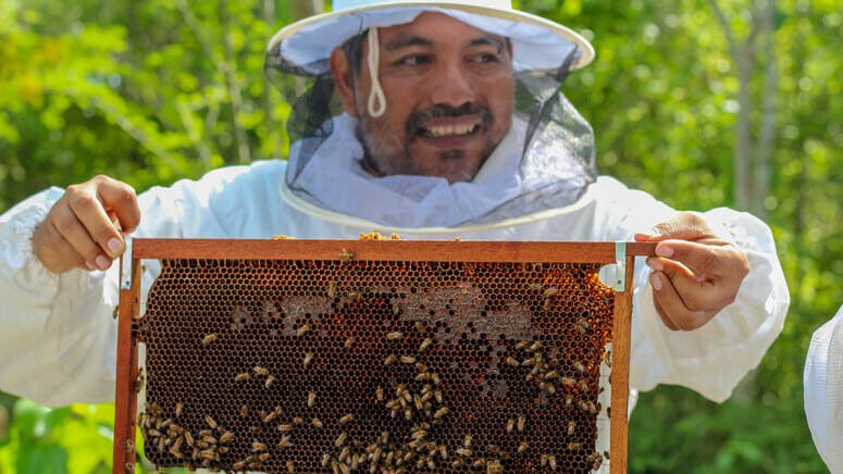 Ecoturismo sabor miel y coco México