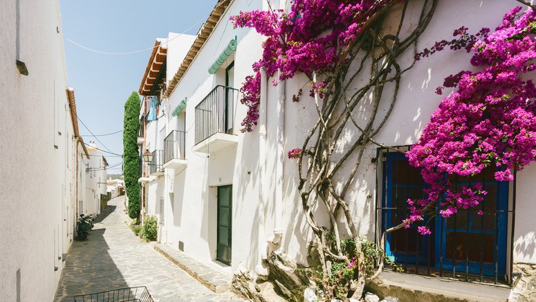 Tour las raíces Cadaqués