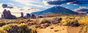 excursion privada parque teide