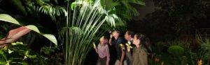 Ruta nocturna Parque Místico Arenal