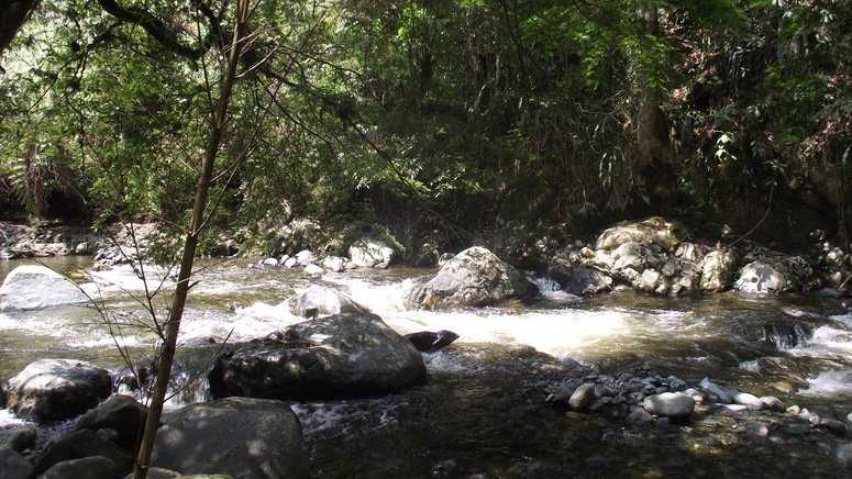 ¡Descubre el paraíso del río Pance!