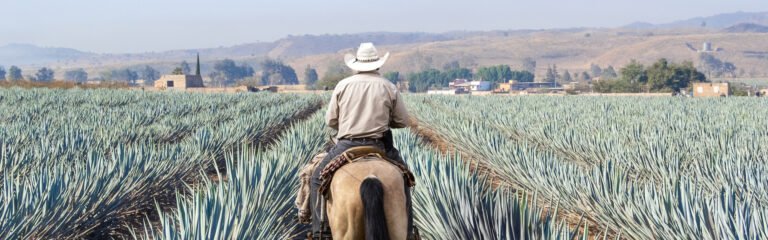 ruta tequila jalisco