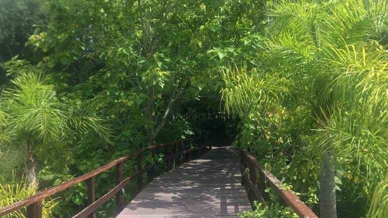 Paseo barco Delta Paraná