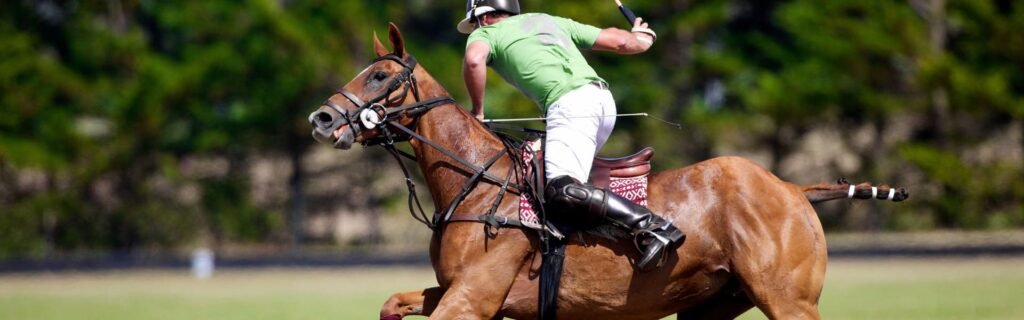 Clases polo partido profesional